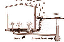 Main Drain Backup Service